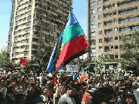 Finalmente se realiz&oacute; en Chile, Marcha de los Pueblos Originarios