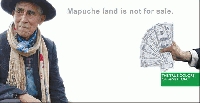 Mapuche en disputa con Benetton: Jueces y partes