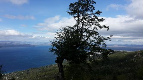 Refugio Berghof almuerzos meriendas te cerveza artesanal Bariloche