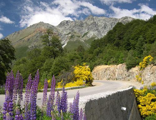 Ruta 40 Bariloche El Bolson El Bolson Remises Nahuel Paseos y traslados 