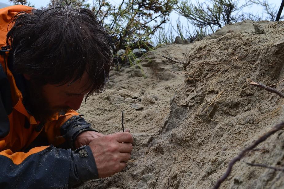 Descubren un nuevo dinosaurio carn&iacute;voro en R&iacute;o Negro de 70 millones de a&ntilde;os de antig&uuml;edad