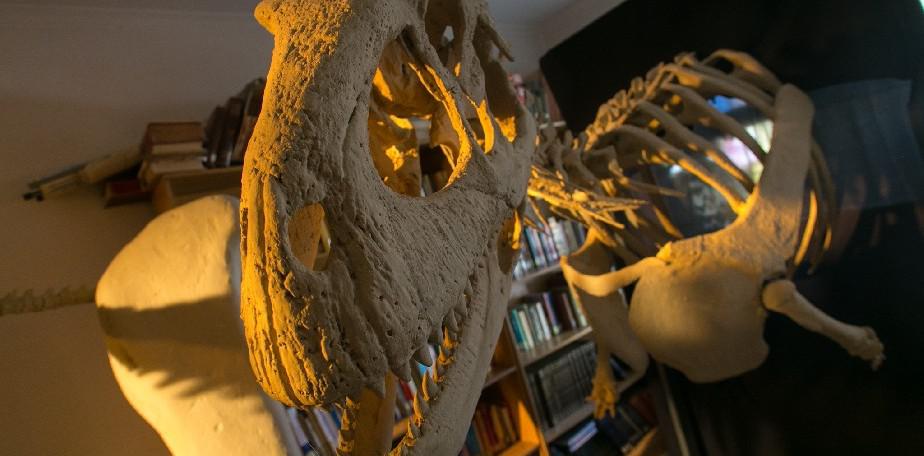 Catriel: llega la muestra "Dinosaurios y otras bestias prehist&oacute;ricas"