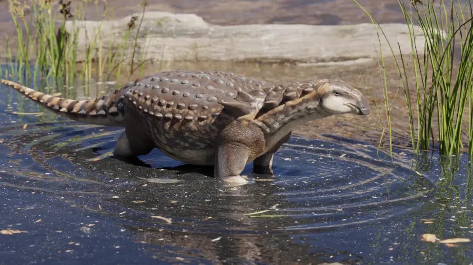 El "Patagopelta cristata" se suma a la familia de dinos rionegrinos