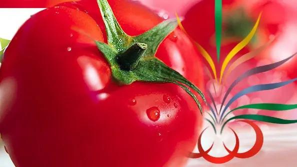 Comienza la Fiesta Nacional del Tomate en Lamarque 