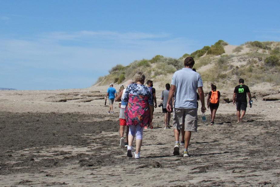 Conoc&eacute; las actividades de febrero que propone R&iacute;o Negro Deporte para un verano saludable