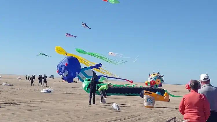 El C&oacute;ndor comenz&oacute; a disfrutar del primer Festival del Viento