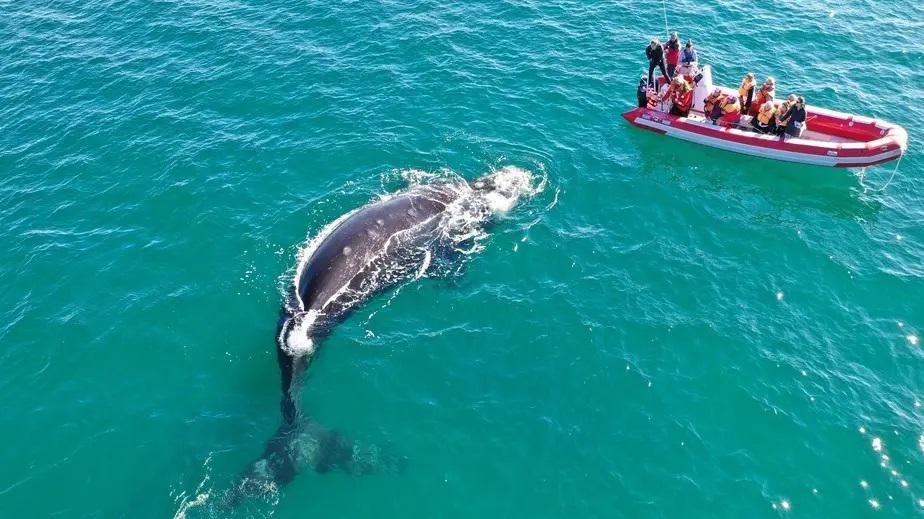 Conoc&eacute; las propuestas para disfrutar la costa rionegrina en invierno