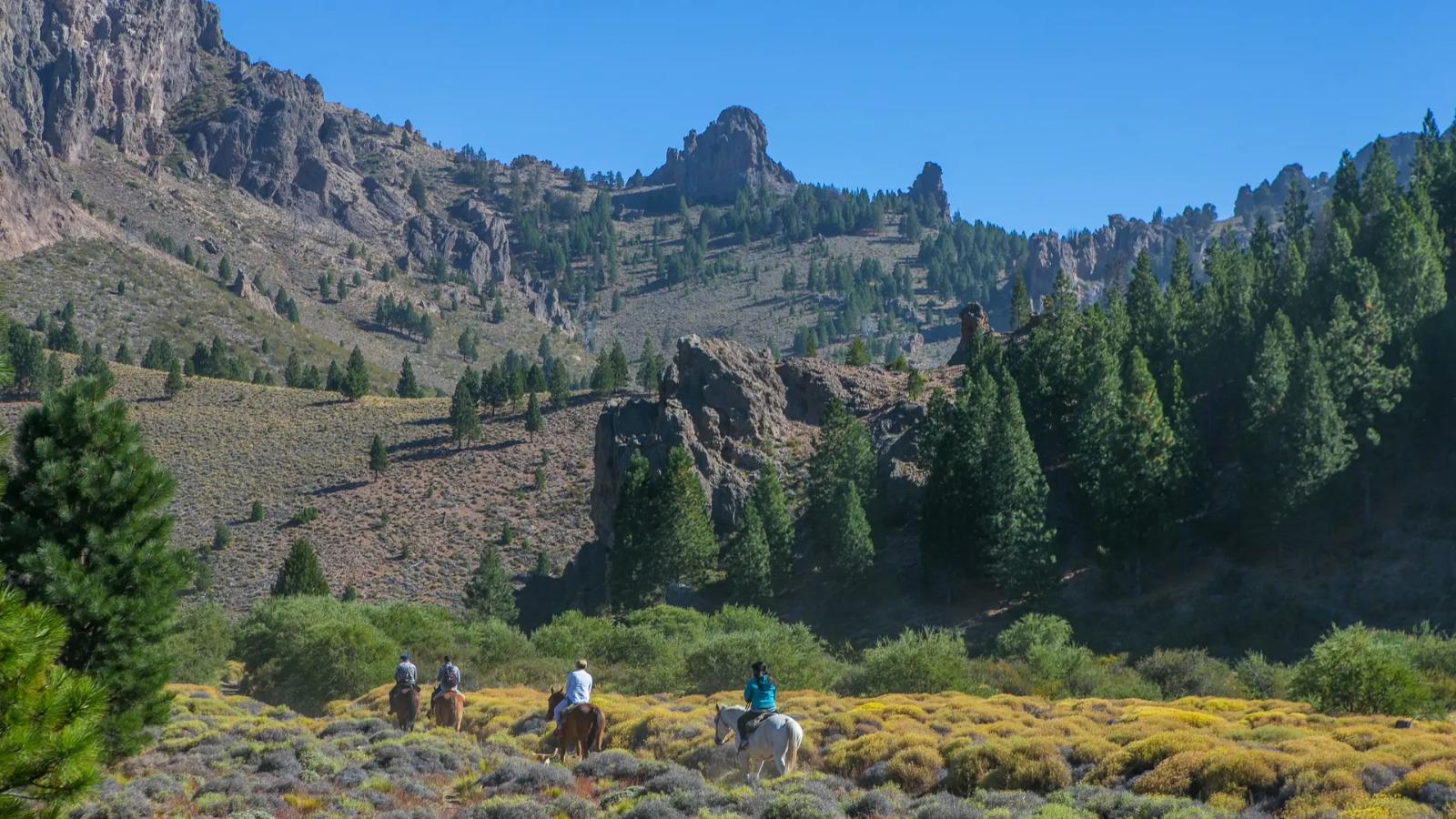 Verano 2024: la Estepa te invita a disfrutar de paisajes naturales &uacute;nicos