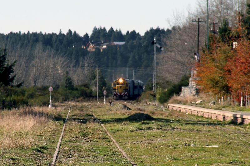 El Tren Patag&oacute;nico te invita a un viaje inolvidable a trav&eacute;s de la estepa rionegrina