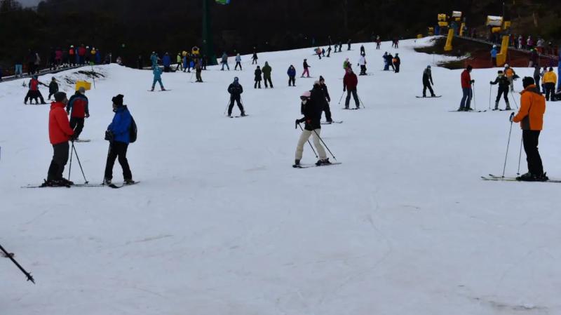 Bariloche celebra la 50&ordm; edici&oacute;n de la Fiesta de la Nieve