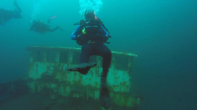 R&iacute;o Negro acompa&ntilde;a el crecimiento del Parque Submarino Las Grutas