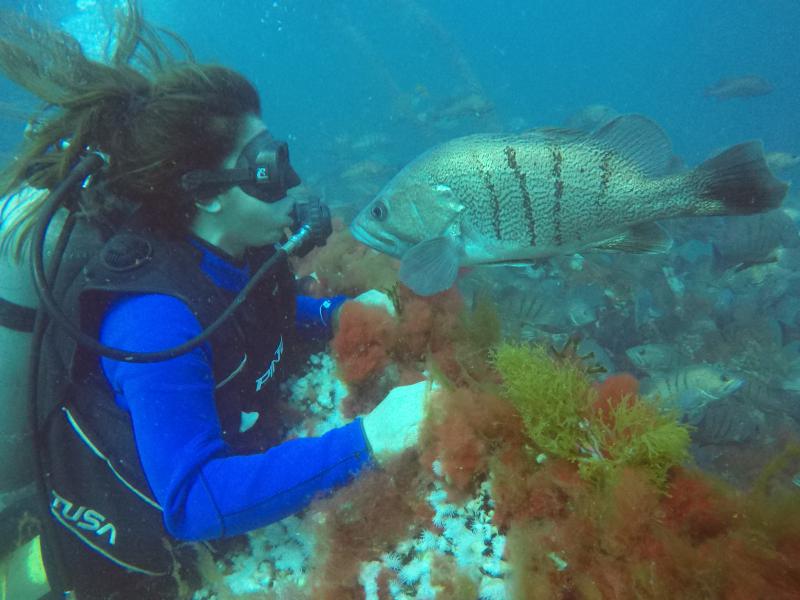 Buceo en el Golfo San Mat&iacute;as: una aventura &uacute;nica en el fondo del mar