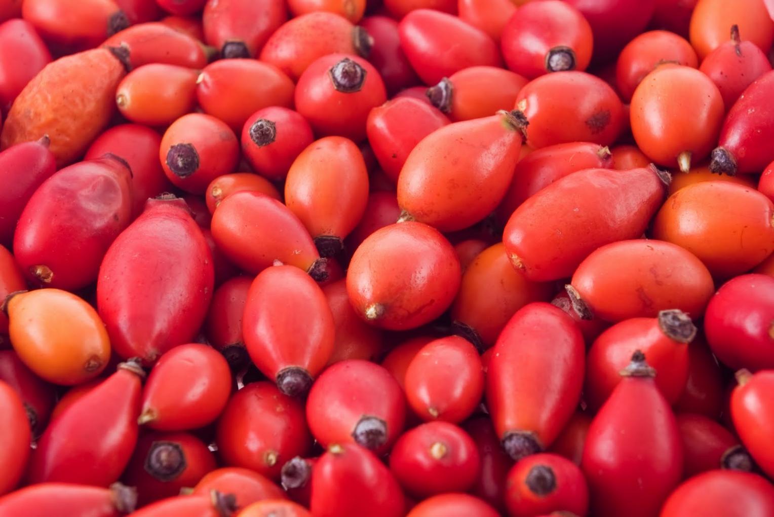 Para qu&eacute; sirve el aceite de rosa mosqueta en el pelo y la cara