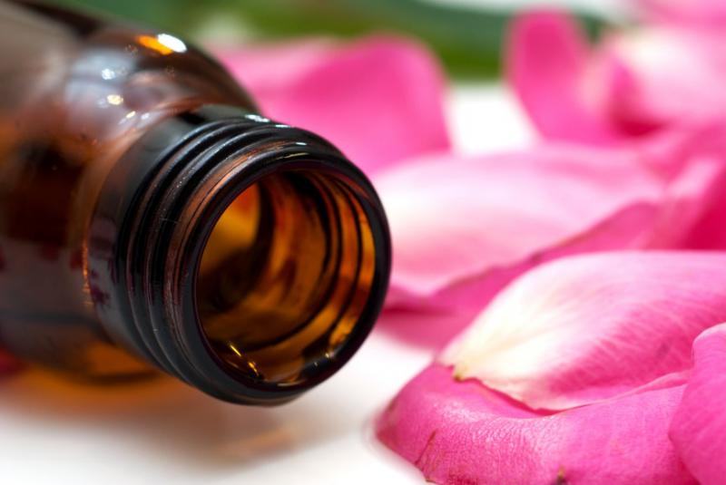 15 Propiedades y beneficios del aceite de rosa de mosqueta