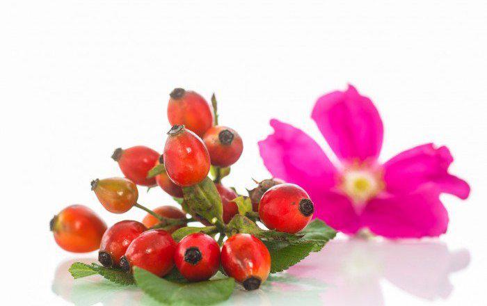 Aceite Rosa Mosqueta: propiedades y usos medicinales