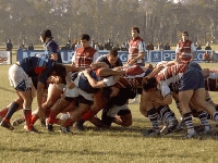 Rugby - Actividades para este fin de semana y dias siguientes