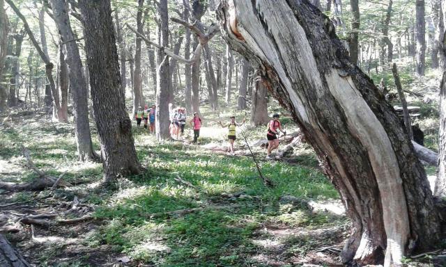 CIRCUITO TRAIL RUNNING - CROSS SALVAJE - BARILOCHE TRAIL EXPERIENCE