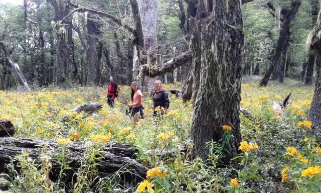 CIRCUITO TRAIL RUNNING - CROSS SALVAJE - BARILOCHE TRAIL EXPERIENCE