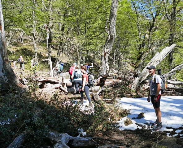 CIRCUITO TRAIL RUNNING - CROSS SALVAJE - BARILOCHE TRAIL EXPERIENCE