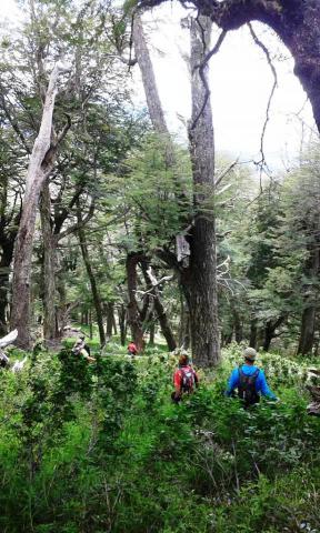 CIRCUITO TRAIL RUNNING - 4 LAGUNAS - BARILOCHE TRAIL EXPERIENCE