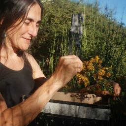  Sara Itkin en Entramando Identidad