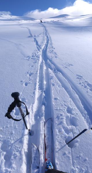 MIRA NUESTRO VIDEO CERRO CATEDRAL- Backcountry ski y snowboard - Academia Suki