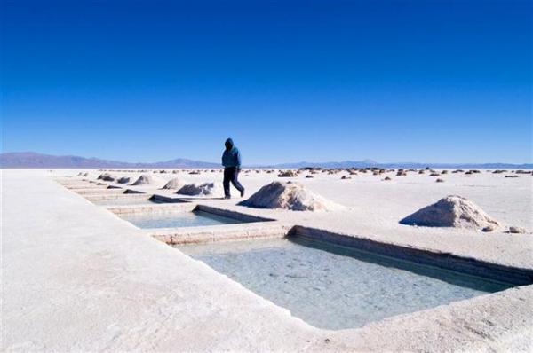 Oro blanco: el litio, eje de un audaz proyecto cient&iacute;fico-tecnol&oacute;gico