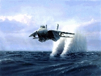 Avi&oacute;n Franc&eacute;s