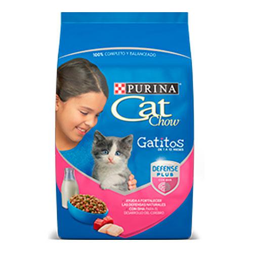 Cat chow gatitos x 15kg 