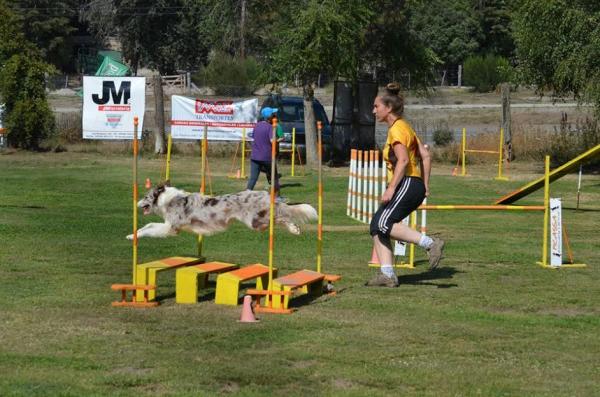 Bariloche agility viaja a sao pablo