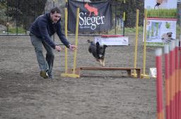 La dupla Simone-Oso cierra un buen semestre en agility.