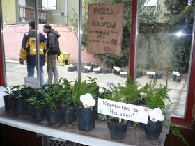 Feria de plantas y charla de divulgaci&oacute;n sobre plantas comestibles de la regi&oacute;n en la UNRN