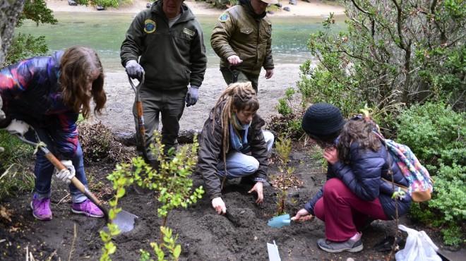 Luz verde para la regi&oacute;n sur, un programa para mitigar la desertificaci&oacute;n en R&iacute;o Negro