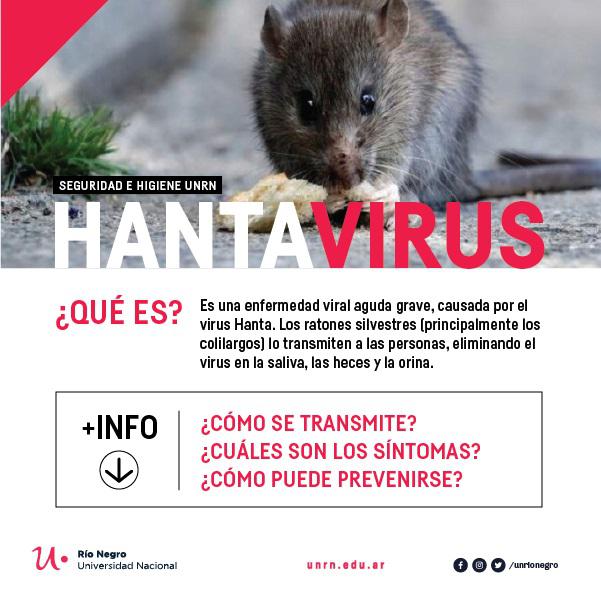 Capacitaci&oacute;n abierta y gratuita sobre hantavirus