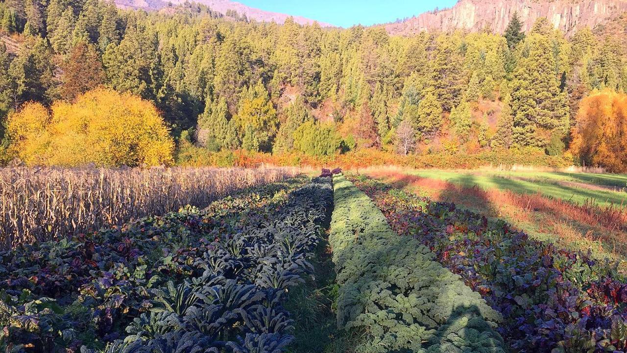 Explorando v&iacute;as de transici&oacute;n hacia manejos agroecol&oacute;gicos