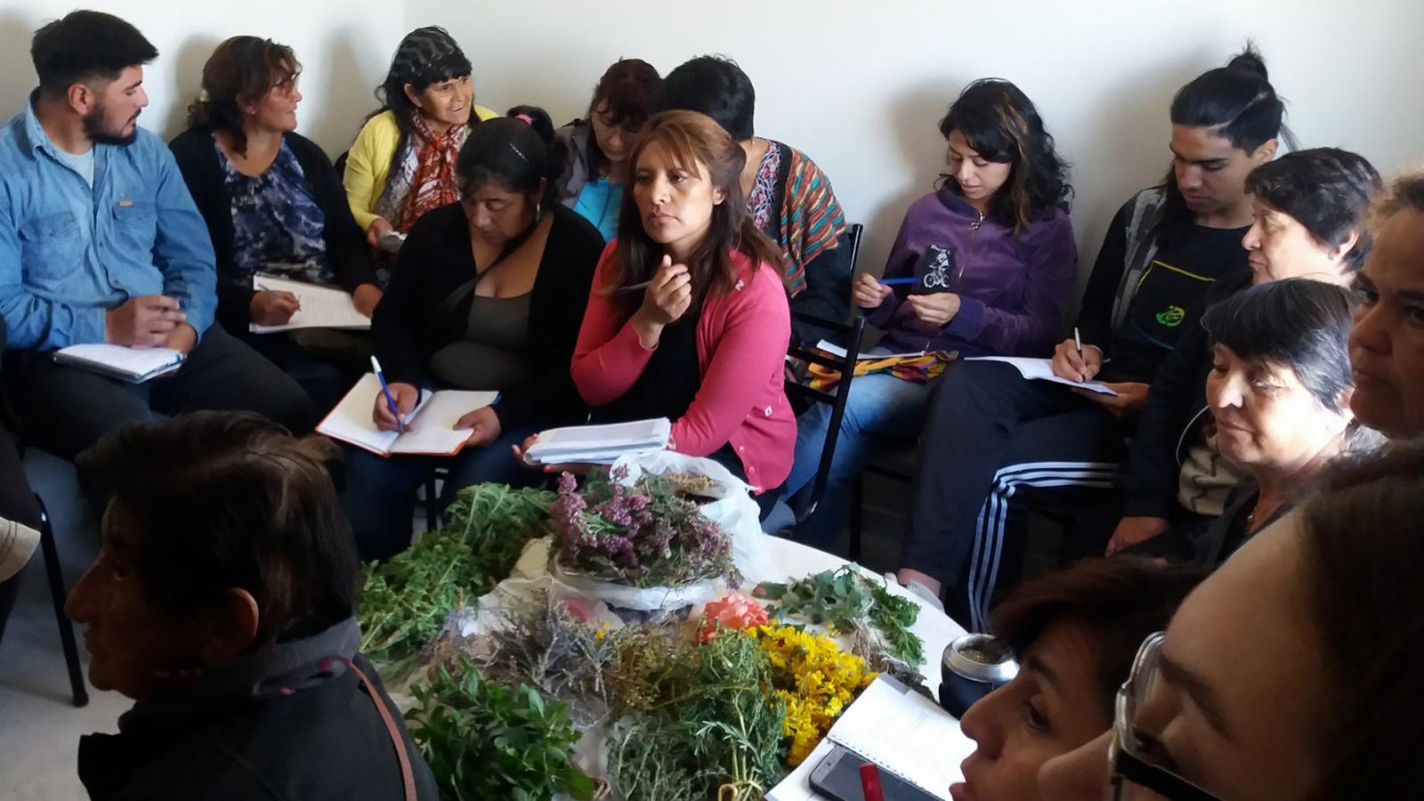 Proyecto con mujeres de una comunidad mapuche en la l&iacute;nea sur