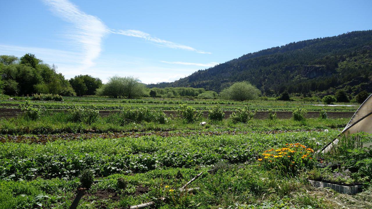 &iquest;Sab&iacute;as que la Licenciatura en Agroecolog&iacute;a de la UNRN es la &uacute;nica carrera de grado espec&iacute;fica sobre agroecolog&iacute;a en el pa&iacute;s?