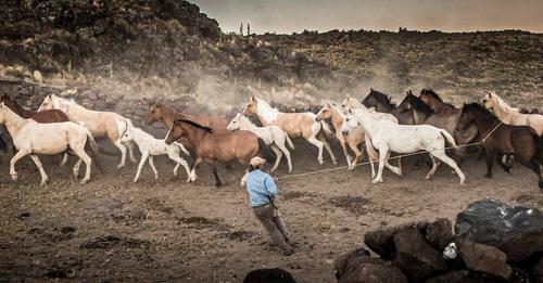 Se definieron las y los ganadores del Concurso de Fotograf&iacute;a