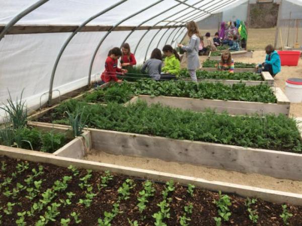 Cultivar tus propios alimentos, asignatura obligatoria en todos los colegios