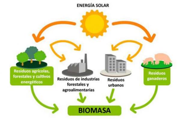 Avanza en Bariloche proyecto piloto de generaci&oacute;n de energ&iacute;a con biomasa