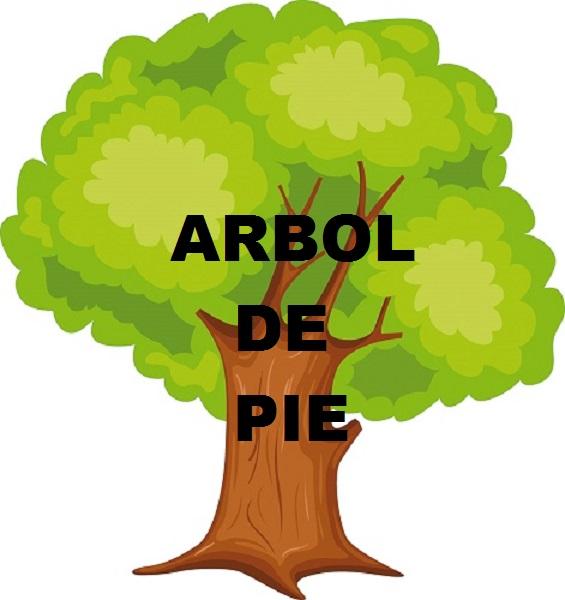 Arbol de Pie: El comunicado de Lago Escondido o el tiro por la culata