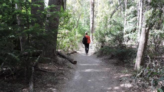 Si sal&iacute;s a disfrutar del paisaje, volv&eacute; con la basura