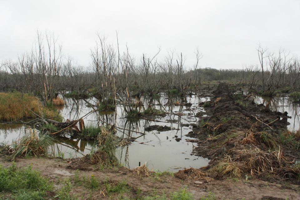 D&iacute;a Mundial de los Humedales - Humedales y biodiversidad en riesgo