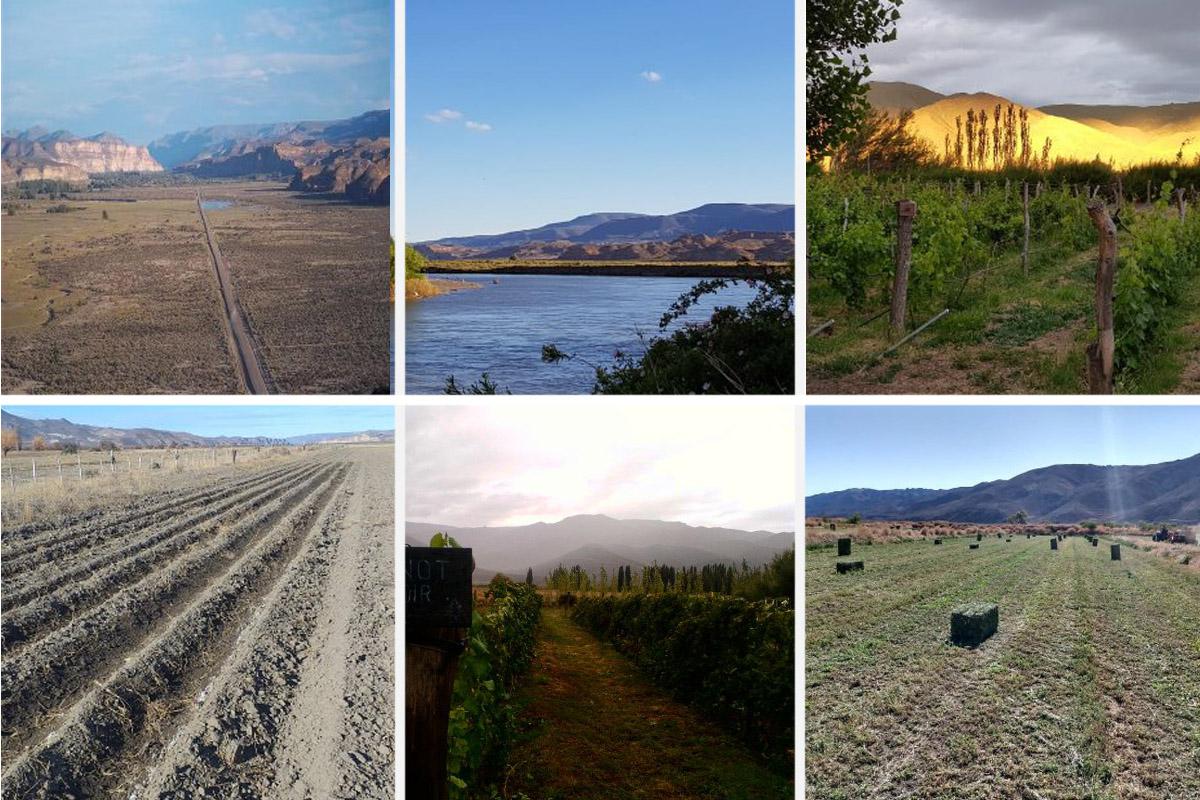 Desde Chubut: &#147;La producci&oacute;n de la meseta podr&iacute;a abastecer alimentos desde la Cordillera al mar&#148;