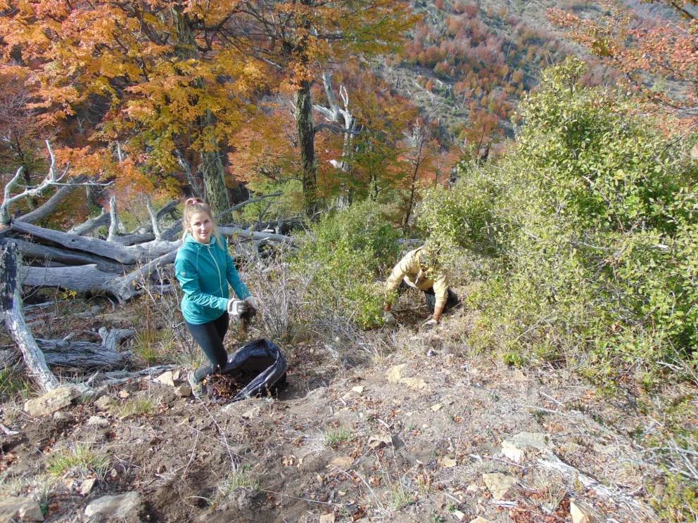 C&oacute;mo es el inmenso desaf&iacute;o de reforestar en el cerro Otto