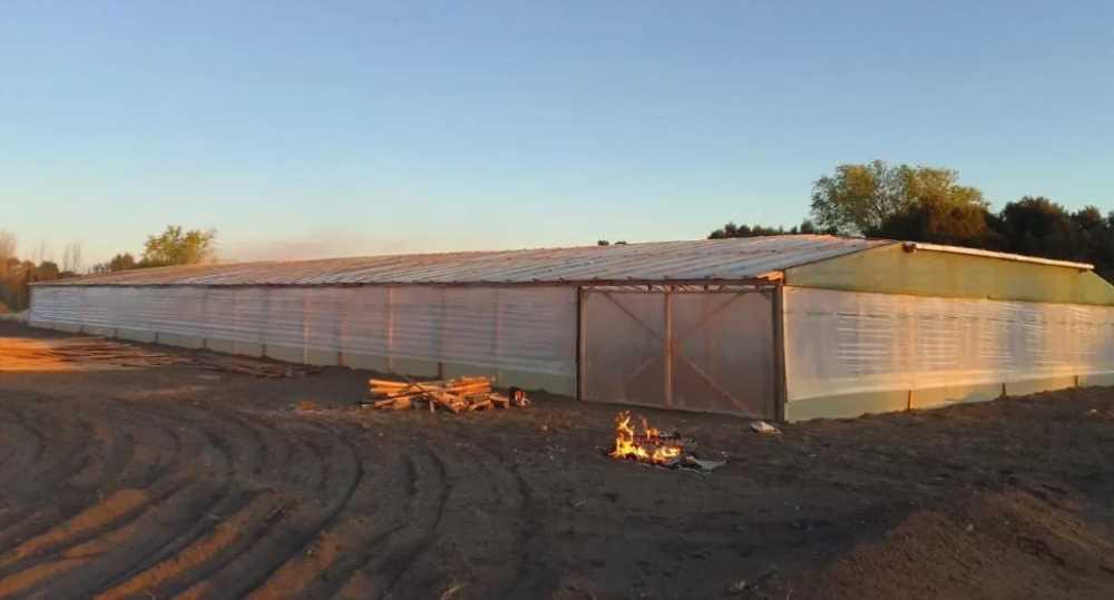 KM 0: dos nuevos macro invernaderos se suman en R&iacute;o Negro