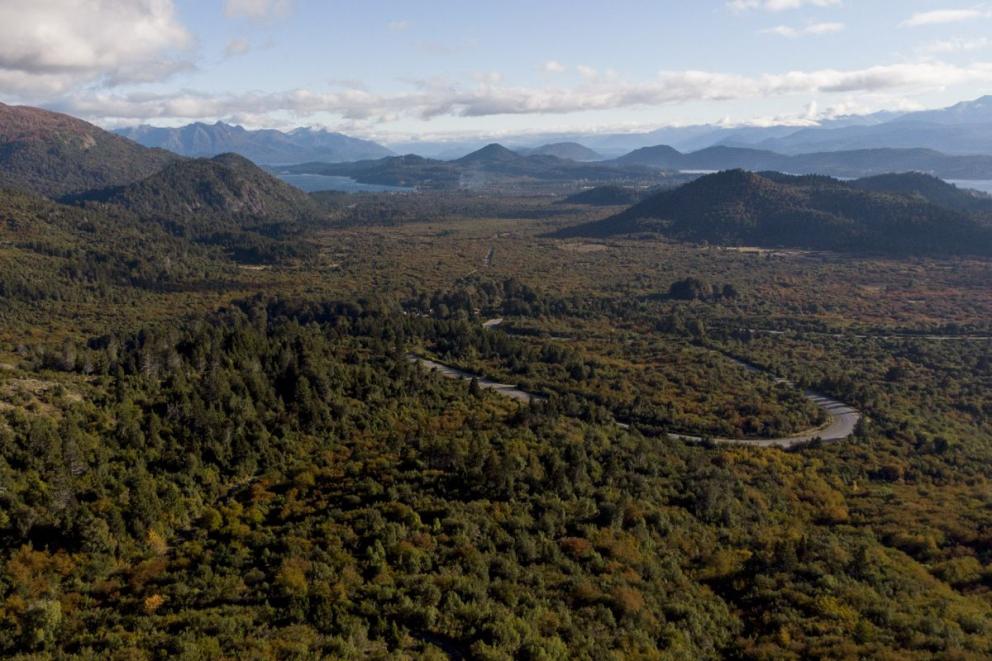 De qu&eacute; se trata el mapa de bosques, una propuesta para proteger el ambiente