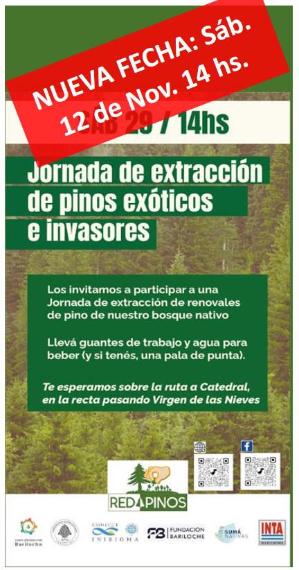 Jornada de Extraccion de Pinos