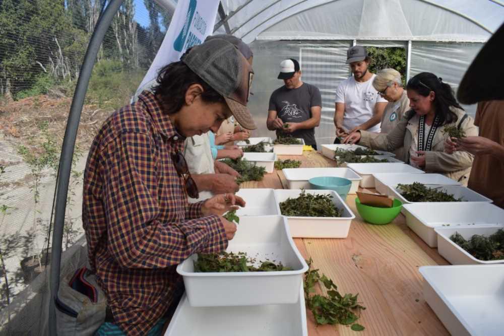 Primeras jornadas del vivero de nativas