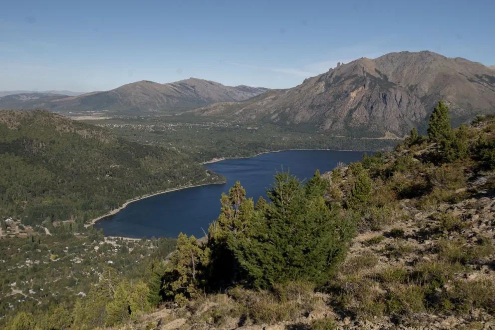 La invasi&oacute;n de plantas ex&oacute;ticas avanza en la monta&ntilde;a y la estepa patag&oacute;nica